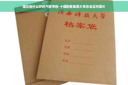 湖北有什么好的汽修学校-十堰职教集团大专毕业证书图片