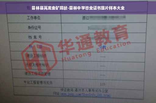 田林县高龙金矿现状-田林中学毕业证书图片样本大全