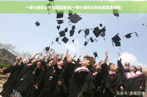 一级计算机证书在哪里查询(一级计算机证书在哪里查询到)