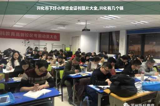 兴化市下圩小学毕业证书图片大全,兴化有几个镇