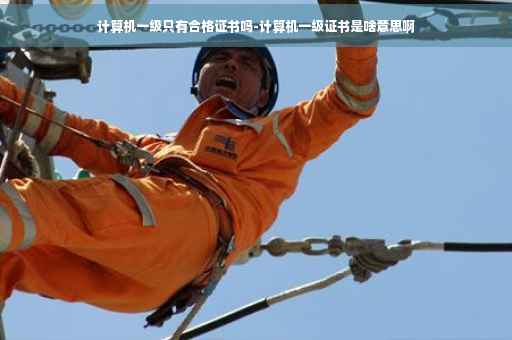 计算机一级只有合格证书吗-计算机一级证书是啥意思啊