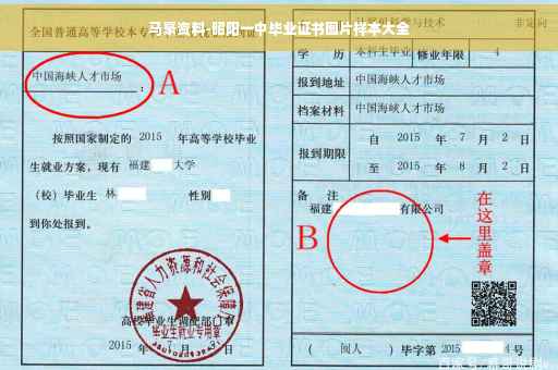 马豪资料-昭阳一中毕业证书图片样本大全