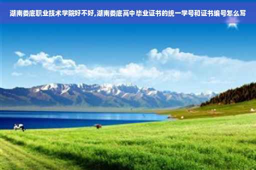 湖南娄底职业技术学院好不好,湖南娄底高中毕业证书的统一学号和证书编号怎么写