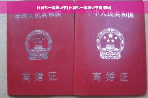 计算机一等级证书(计算机一等级证书有用吗)
