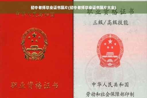 初中老师毕业证书图片(初中老师毕业证书图片大全)