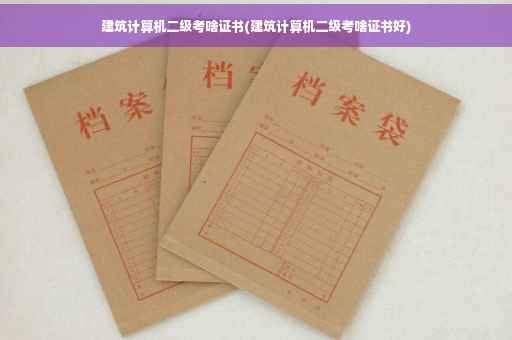 建筑计算机二级考啥证书(建筑计算机二级考啥证书好)