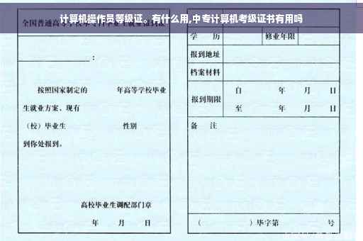 计算机操作员等级证。有什么用,中专计算机考级证书有用吗