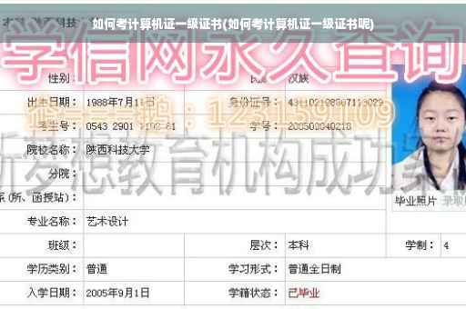 如何考计算机证一级证书(如何考计算机证一级证书呢)