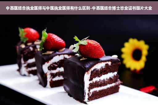 中西医结合执业医师与中医执业医师有什么区别-中西医结合博士毕业证书图片大全