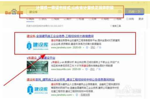 计算机一级证书样式,山东省计算机正高级职称