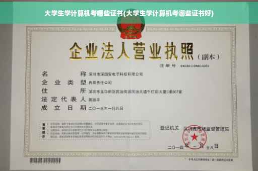 大学生学计算机考哪些证书(大学生学计算机考哪些证书好)