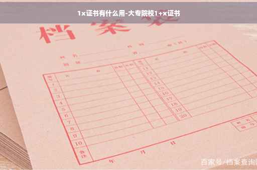 1x证书有什么用-大专院校1+x证书