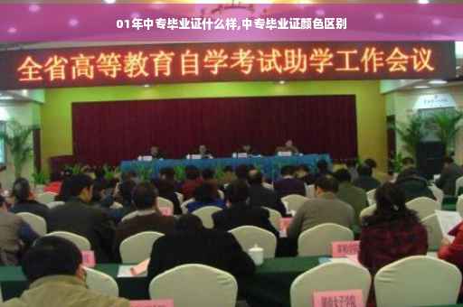 01年中专毕业证什么样,中专毕业证颜色区别