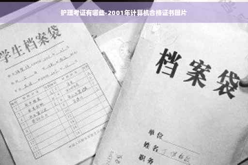 护理考证有哪些-2001年计算机合格证书图片 护理考证有哪些-2001年计算机合格证书图片