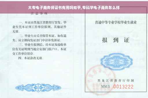 大专电子商务师证书有用吗知乎,专科学电子商务怎么样