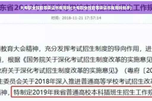 大专职业技能等级证书有用吗(大专职业技能等级证书有用吗知乎)