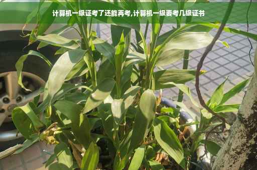 计算机一级证考了还能再考,计算机一级要考几级证书