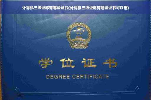 计算机三级证都有哪些证书(计算机三级证都有哪些证书可以用)
