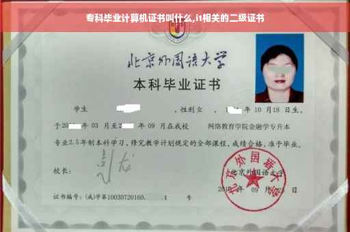 专科毕业计算机证书叫什么,it相关的二级证书