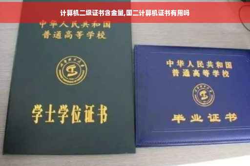 计算机二级证书含金量,国二计算机证书有用吗