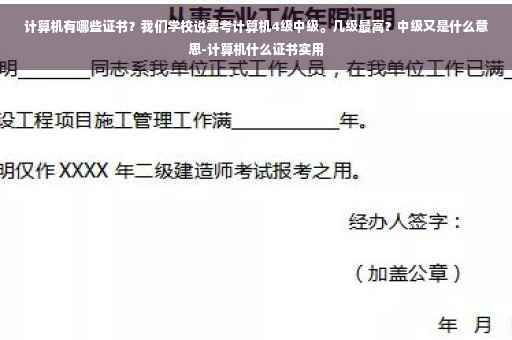 计算机有哪些证书?我们学校说要考计算机4级中级。几级最高?中级又是什么意思-计算机什么证书实用 计算机有哪些证书?我们学校说要考计算机4级中级。几级最高?中级又是什么意思-计算机什么证书实用