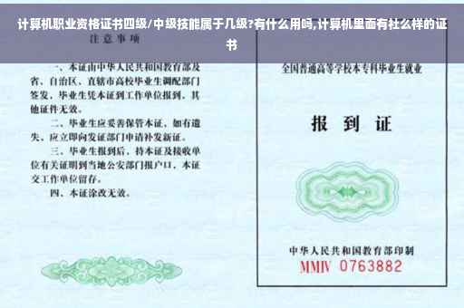 计算机职业资格证书四级/中级技能属于几级?有什么用吗,计算机里面有社么样的证书