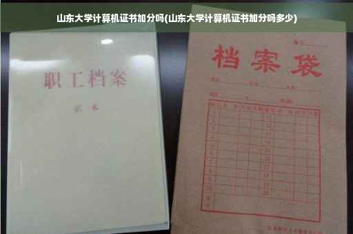 山东大学计算机证书加分吗(山东大学计算机证书加分吗多少)