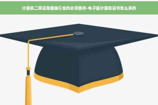 计算机二级证是哪些行业的必须条件-电子版计算机证书怎么弄的