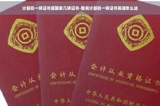 计算机一级证书算国家几级证书-我有计算机一级证书英语怎么说