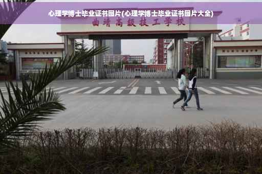 心理学博士毕业证书图片(心理学博士毕业证书图片大全)