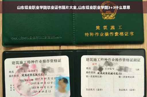 山东铝业职业学院毕业证书图片大全,山东铝业职业学院3+3什么意思