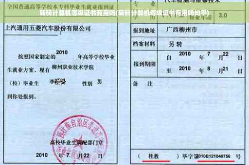 转码计算机等级证书有用吗(转码计算机等级证书有用吗知乎)