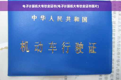 电子计算机大专毕业证书(电子计算机大专毕业证书图片)