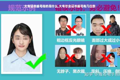 大专证书编号指的是什么,大专毕业证书编号有几位数