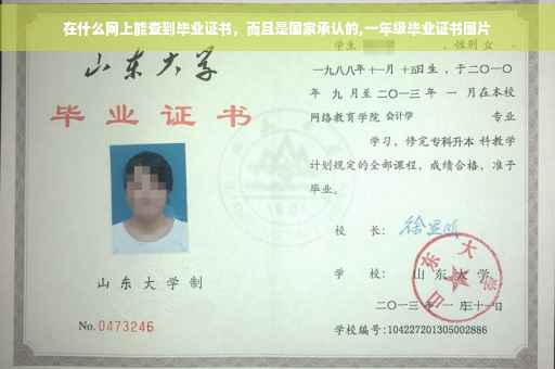 在什么网上能查到毕业证书，而且是国家承认的,一年级毕业证书图片