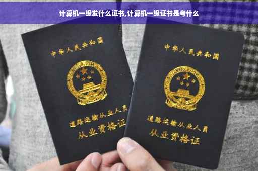 计算机一级发什么证书,计算机一级证书是考什么