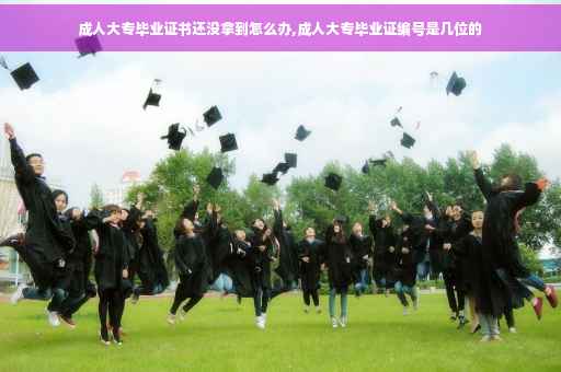 成人大专毕业证书还没拿到怎么办,成人大专毕业证编号是几位的