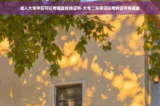 成人大专学历可以考哪些资格证书-大专二年级可以考的证书有哪些