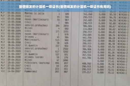 新疆颁发的计算机一级证书(新疆颁发的计算机一级证书有用吗)