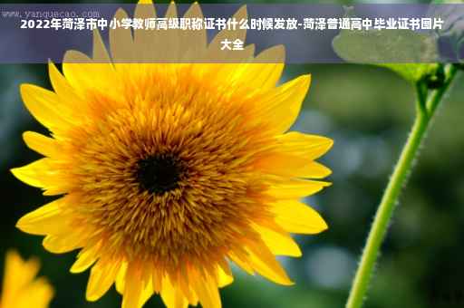 2022年菏泽市中小学教师高级职称证书什么时候发放-菏泽普通高中毕业证书图片大全