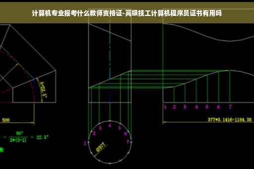 计算机专业报考什么教师资格证-高级技工计算机程序员证书有用吗