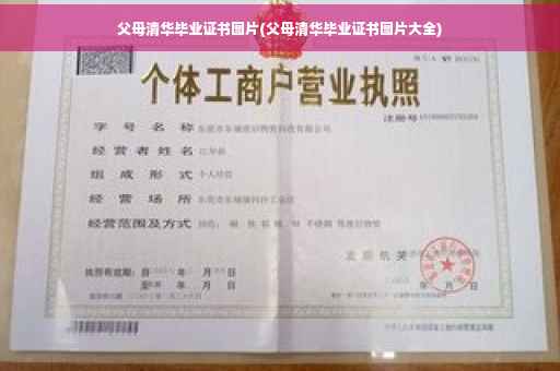 父母清华毕业证书图片(父母清华毕业证书图片大全)