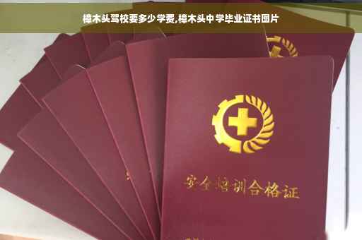 樟木头驾校要多少学费,樟木头中学毕业证书图片