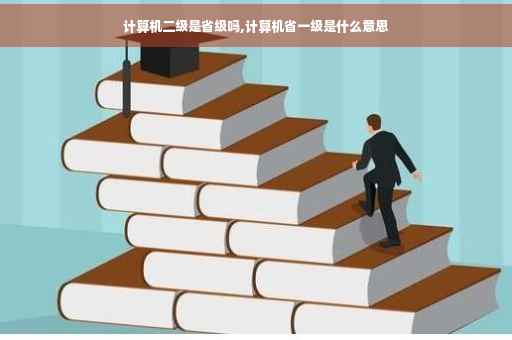 计算机二级是省级吗,计算机省一级是什么意思
