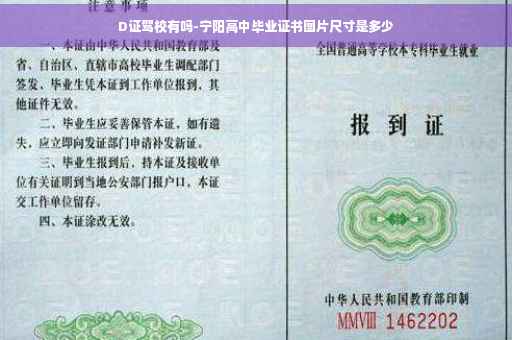 D证驾校有吗-宁阳高中毕业证书图片尺寸是多少