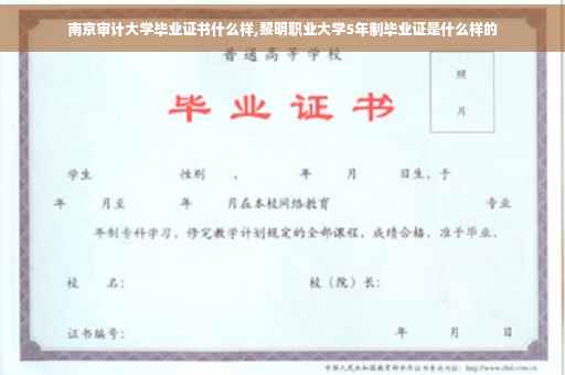 南京审计大学毕业证书什么样,黎明职业大学5年制毕业证是什么样的