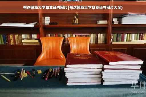 布达佩斯大学毕业证书图片(布达佩斯大学毕业证书图片大全)