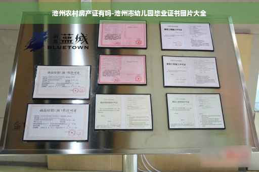 池州农村房产证有吗-池州市幼儿园毕业证书图片大全