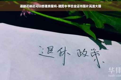 退耕还林还可以修建房屋吗-建民中学毕业证书图片高清大图