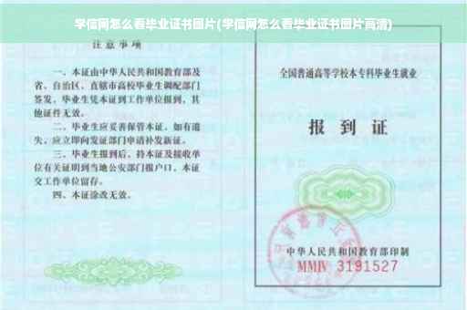 学信网怎么看毕业证书图片(学信网怎么看毕业证书图片高清)